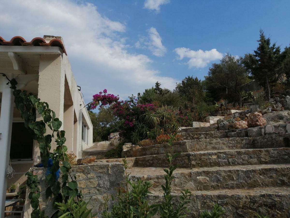 Artemis Villa Near Athens Airport Markopoulo Mesogaias Exterior photo